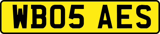 WB05AES