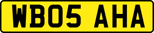 WB05AHA