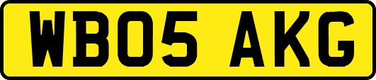 WB05AKG