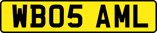 WB05AML