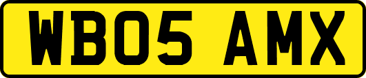 WB05AMX