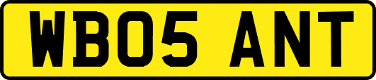 WB05ANT