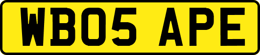 WB05APE