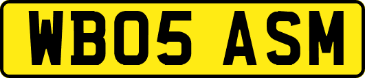WB05ASM