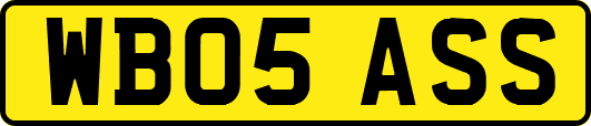 WB05ASS