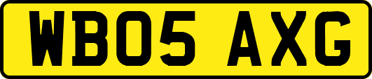 WB05AXG
