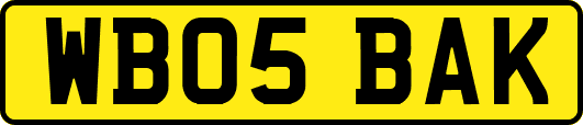 WB05BAK
