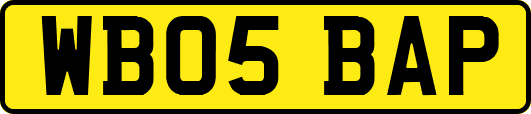WB05BAP