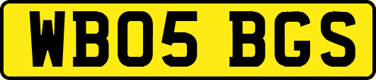 WB05BGS