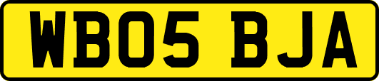WB05BJA