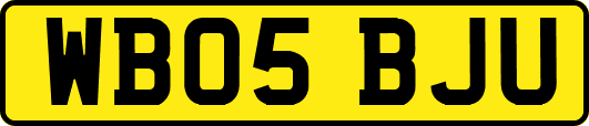WB05BJU