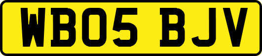 WB05BJV
