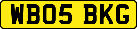 WB05BKG