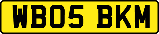 WB05BKM