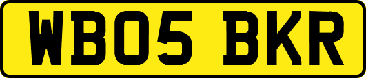 WB05BKR