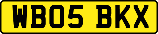 WB05BKX