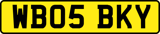 WB05BKY