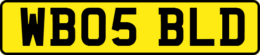 WB05BLD
