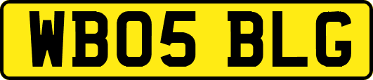WB05BLG