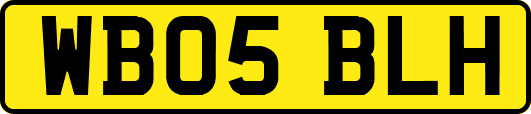 WB05BLH