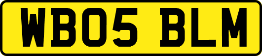 WB05BLM