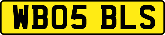 WB05BLS