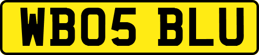 WB05BLU