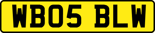WB05BLW