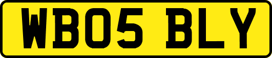 WB05BLY