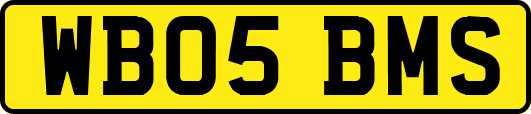 WB05BMS