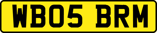WB05BRM
