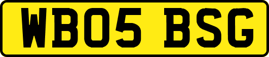 WB05BSG
