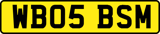 WB05BSM