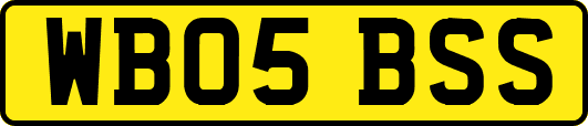 WB05BSS