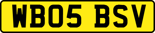 WB05BSV