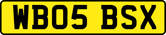 WB05BSX