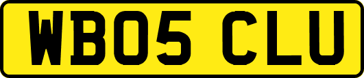 WB05CLU