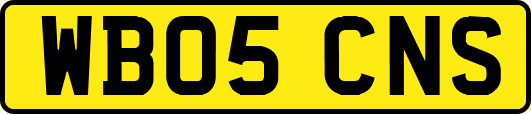 WB05CNS