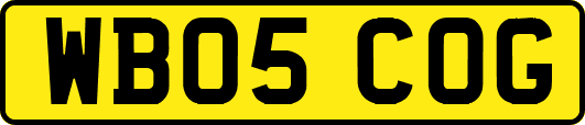 WB05COG