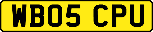 WB05CPU