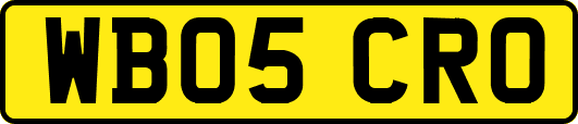 WB05CRO