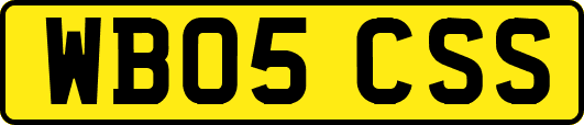 WB05CSS