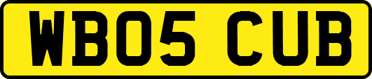 WB05CUB