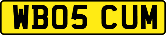 WB05CUM
