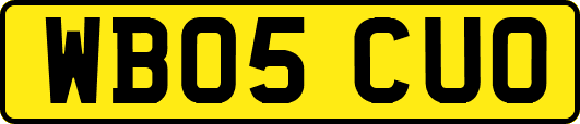 WB05CUO