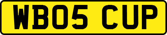 WB05CUP