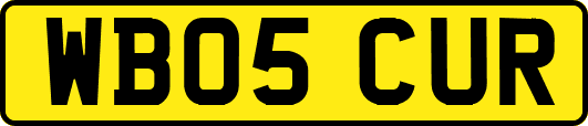 WB05CUR