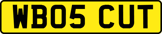 WB05CUT