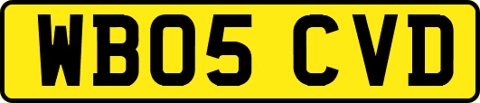 WB05CVD