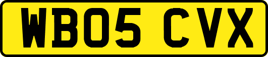 WB05CVX